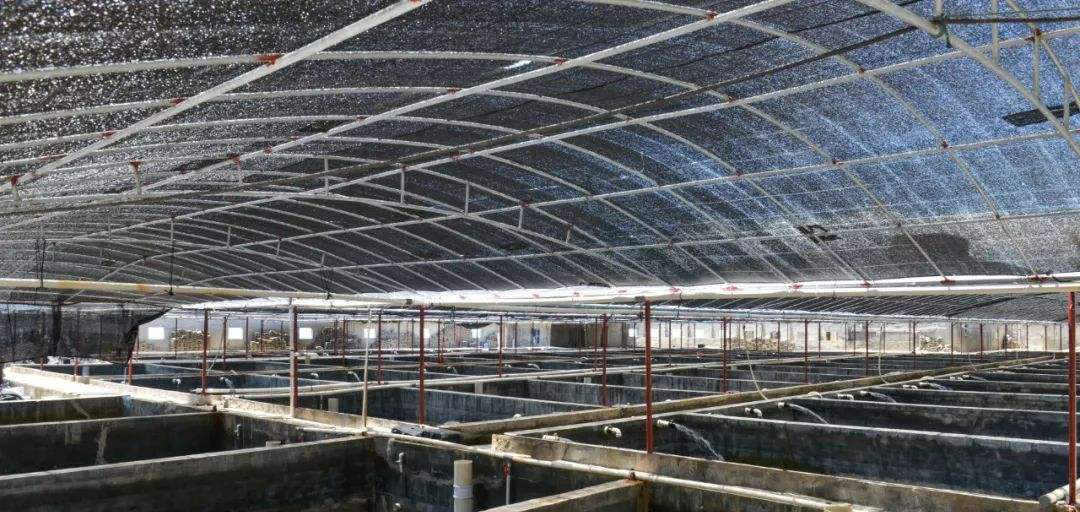 養(yǎng)殖場(chǎng)沼氣發(fā)電機(jī)組氮氧化物治理