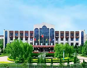 NOx治理丨某化肥廠沼氣發電機組尾氣脫硝治理項目